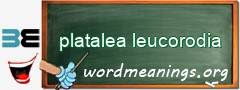 WordMeaning blackboard for platalea leucorodia